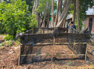 Big Cleaning Day ครั้งที่ 1 พารามิเตอร์รูปภาพ 11